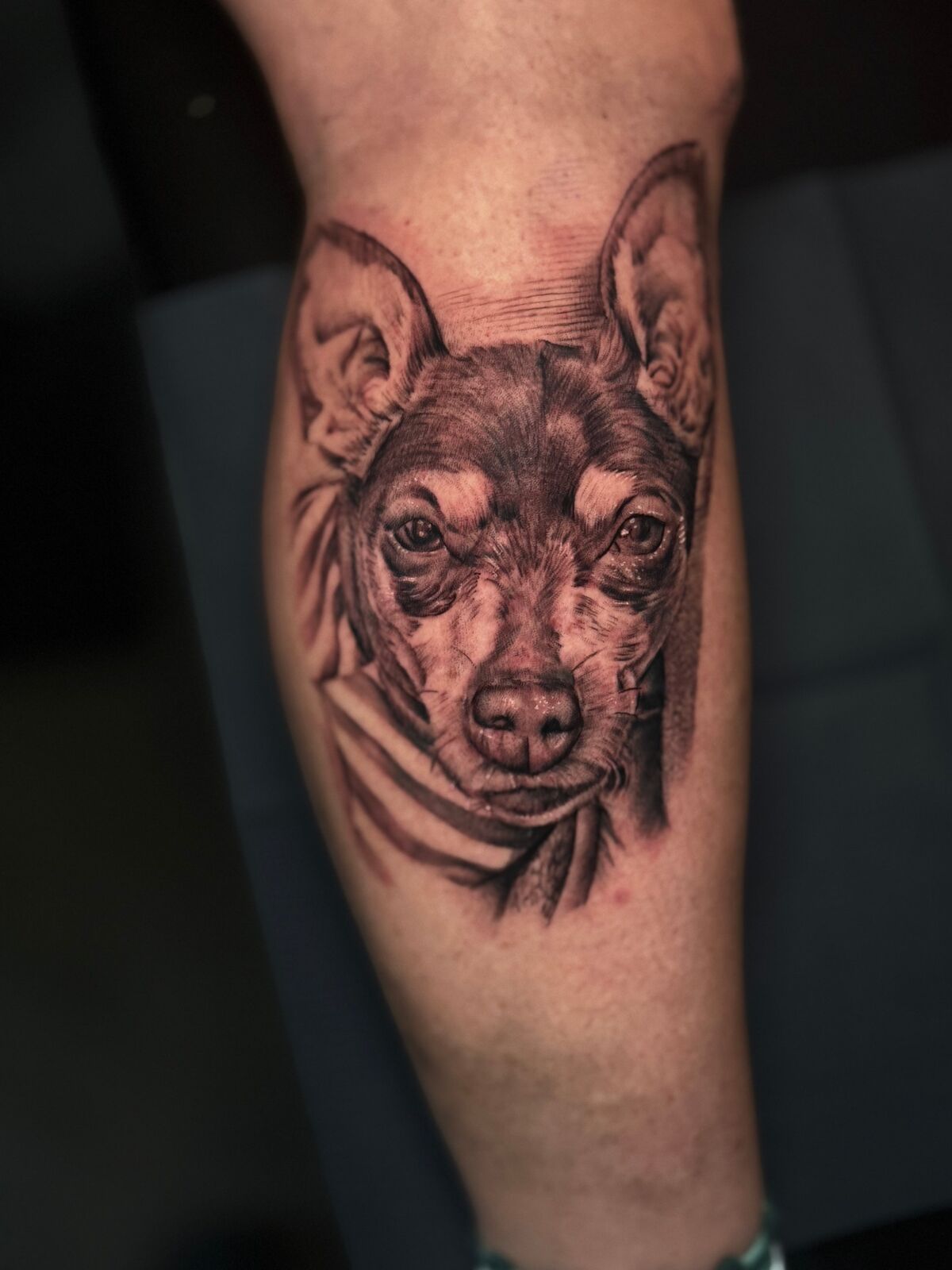 Realism dog portrait on a calf